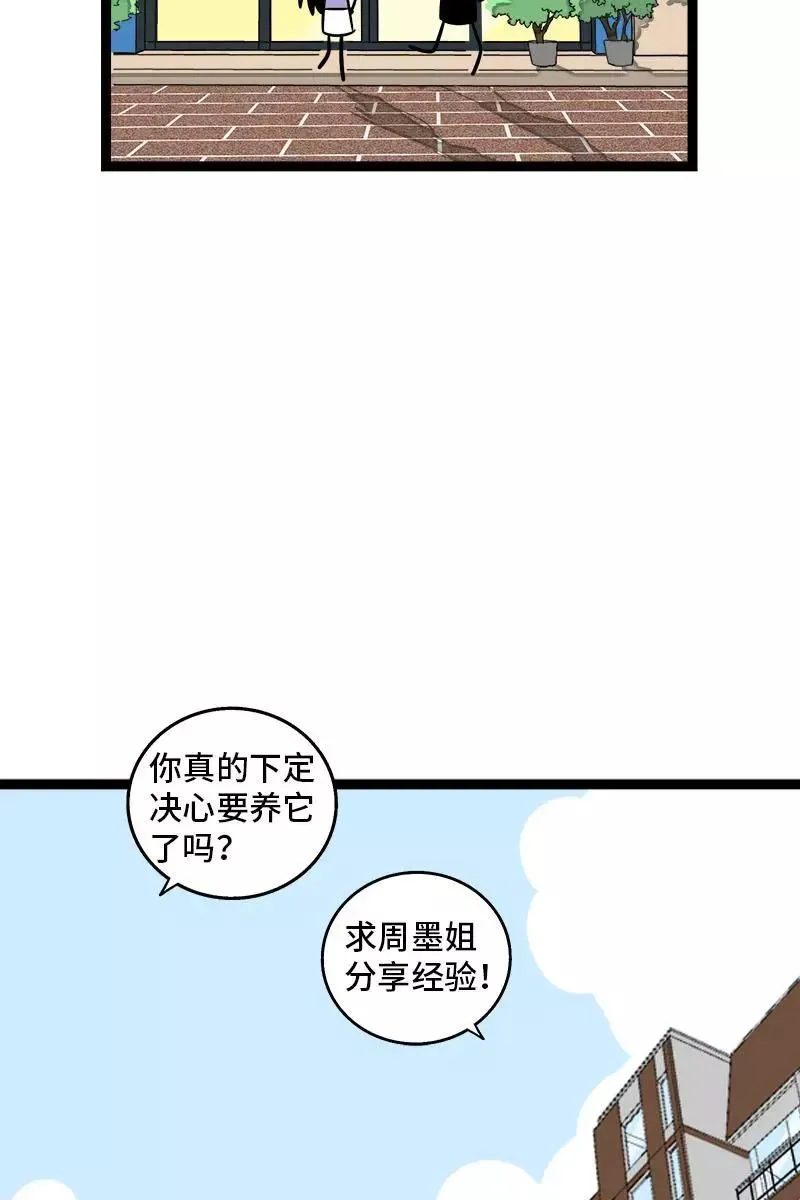 第70话 幸运的小狗4