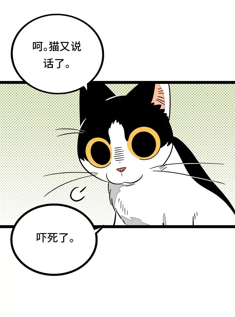 第11话 一只特立独行的猫26
