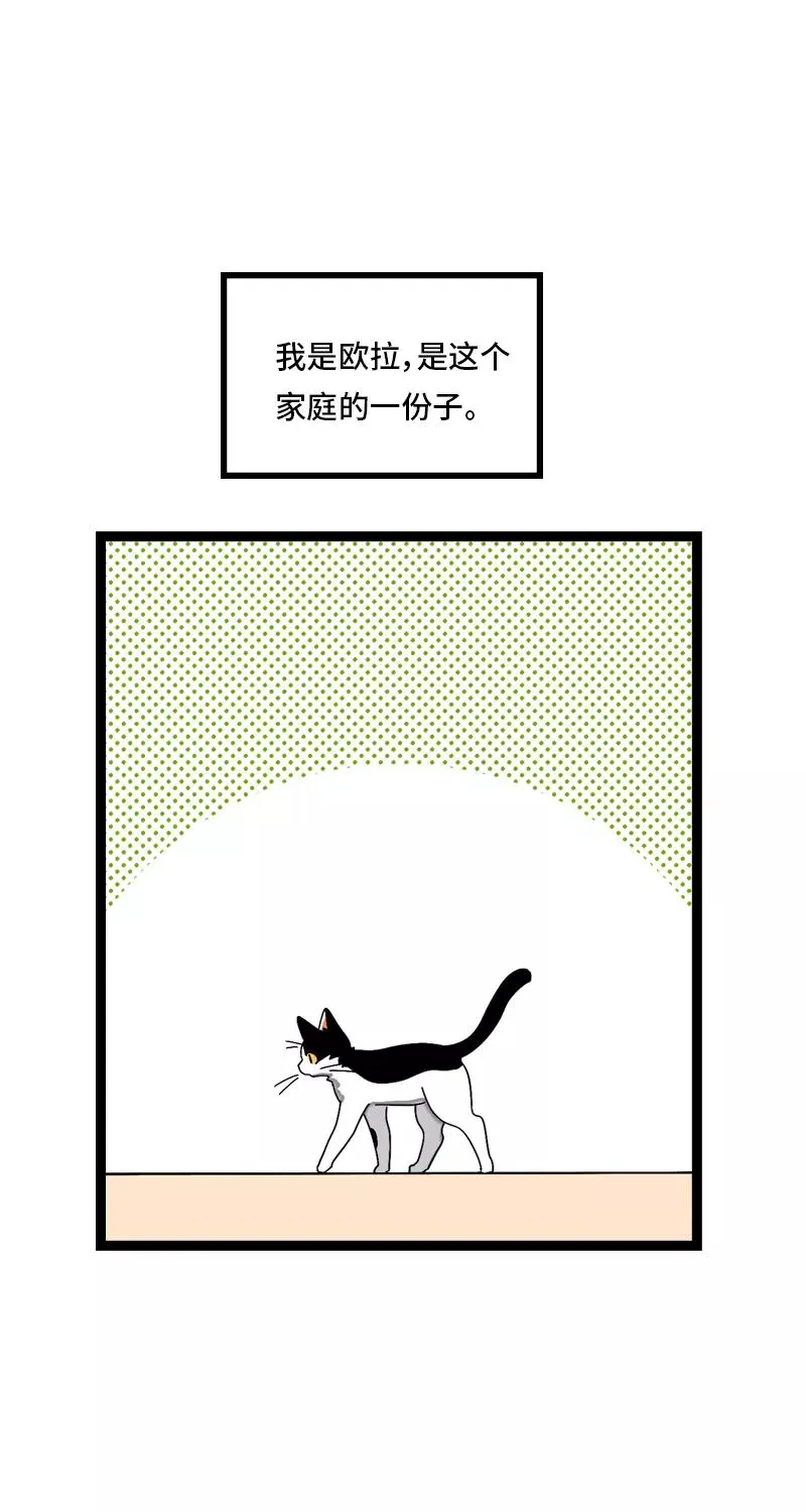 第11话 一只特立独行的猫29