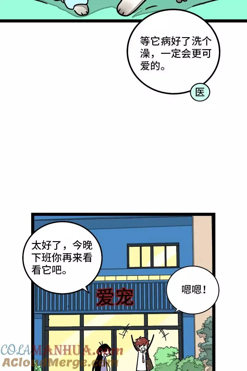 第70话 幸运的小狗3