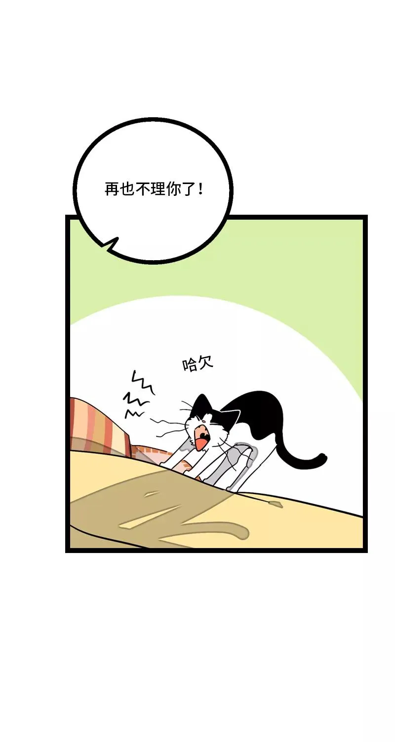 第11话 一只特立独行的猫13