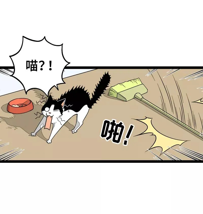第47话 一窗之隔4