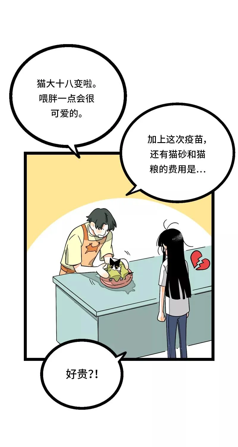 第11话 一只特立独行的猫5