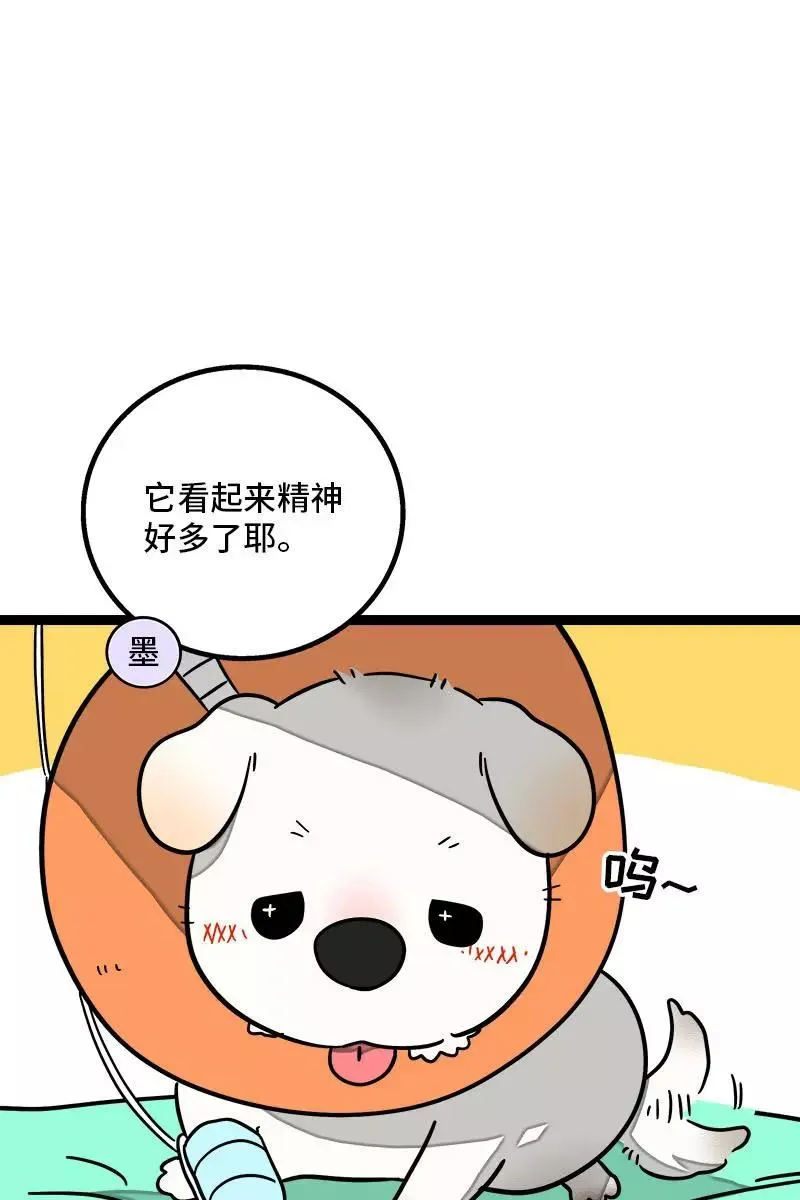第70话 幸运的小狗2