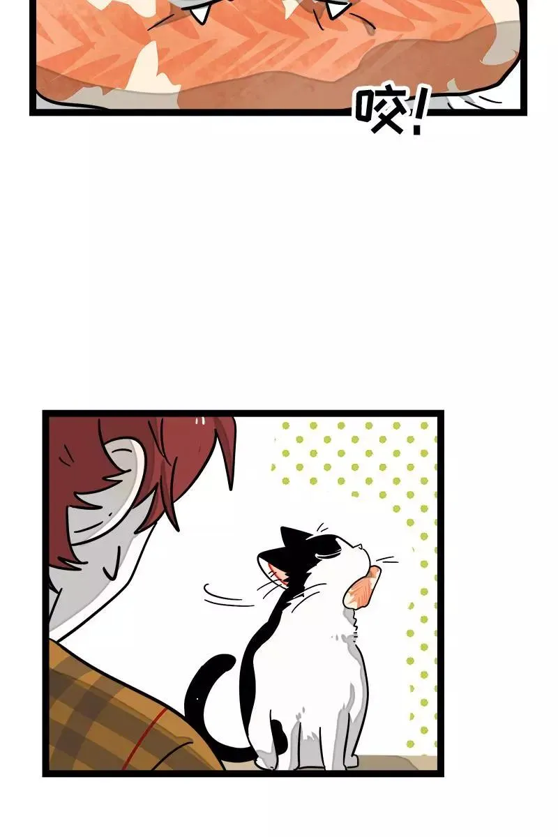 第87话 圣诞礼物20