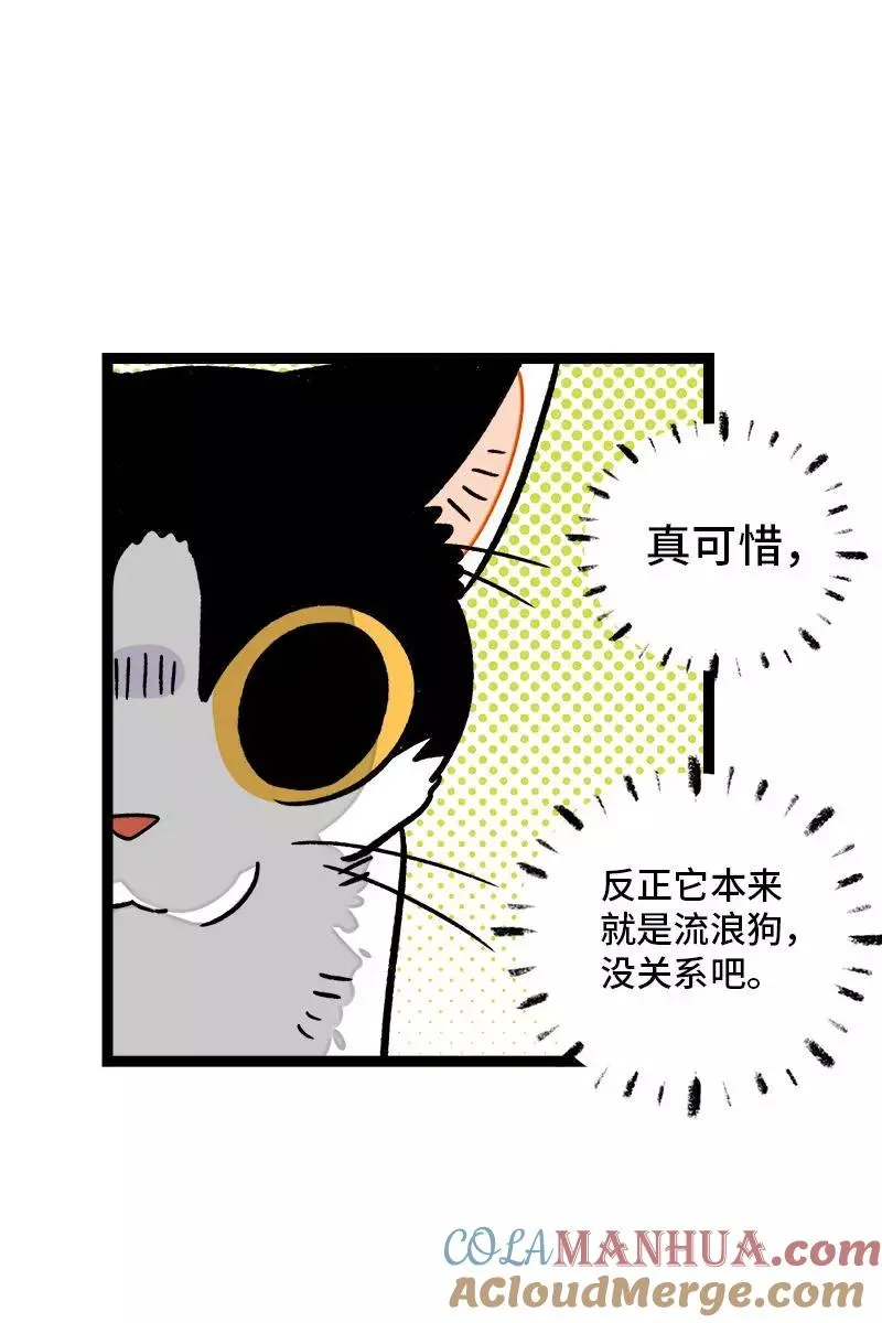 第77话 小鱼干之神8