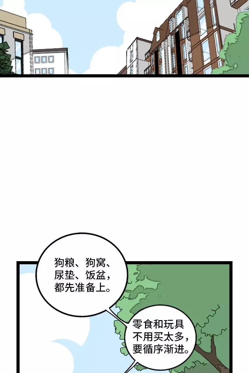第70话 幸运的小狗5