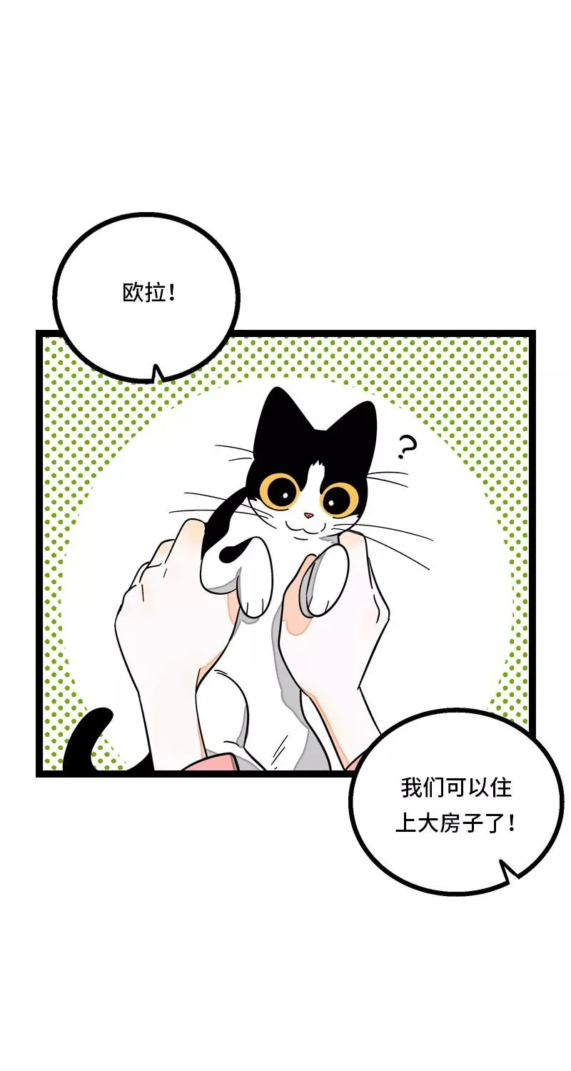 第11话 一只特立独行的猫35