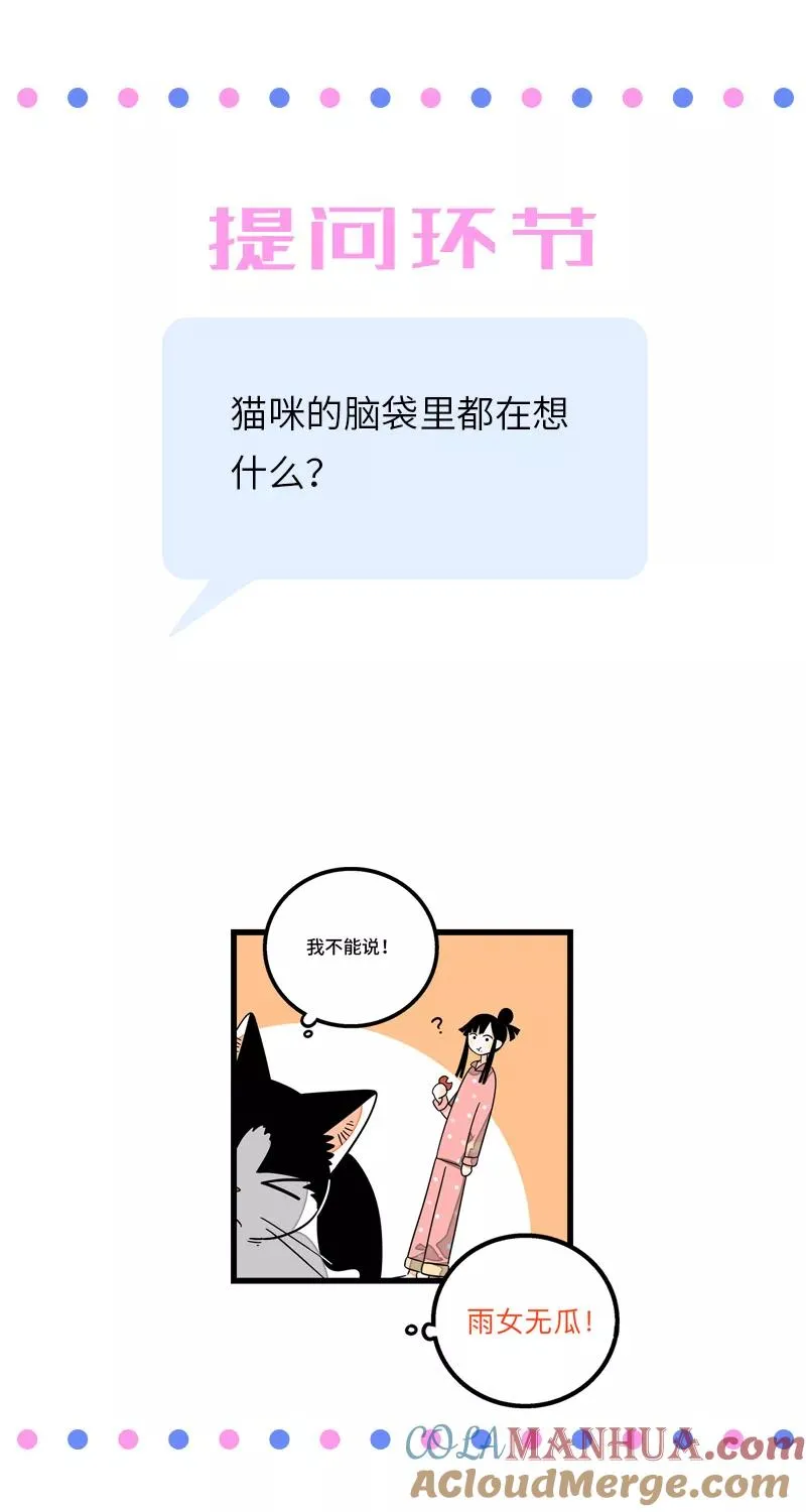 第11话 一只特立独行的猫45