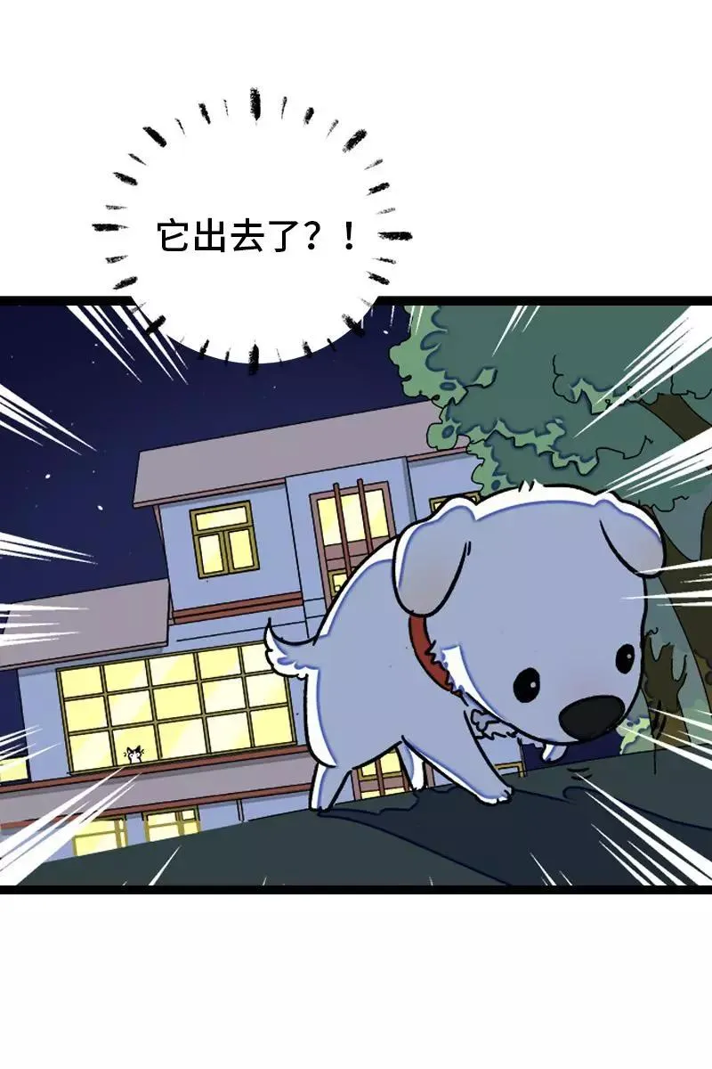 第77话 小鱼干之神5