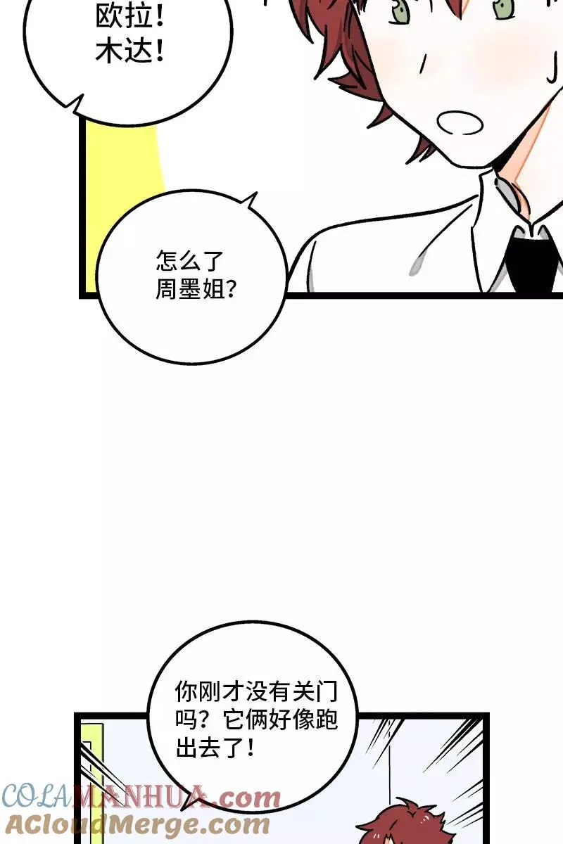 第77话 小鱼干之神22