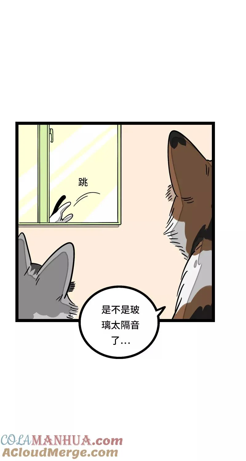 第11话 一只特立独行的猫24