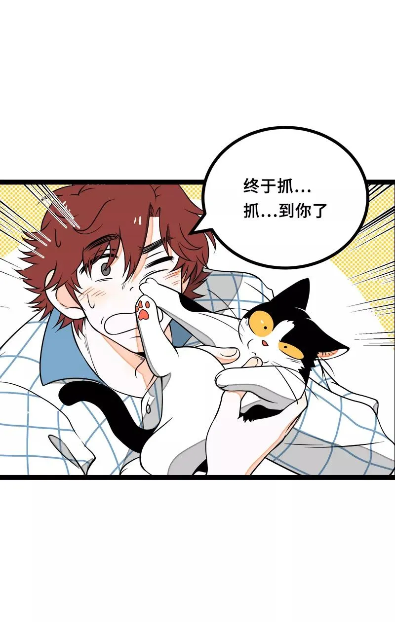 第44话 感情白痴46