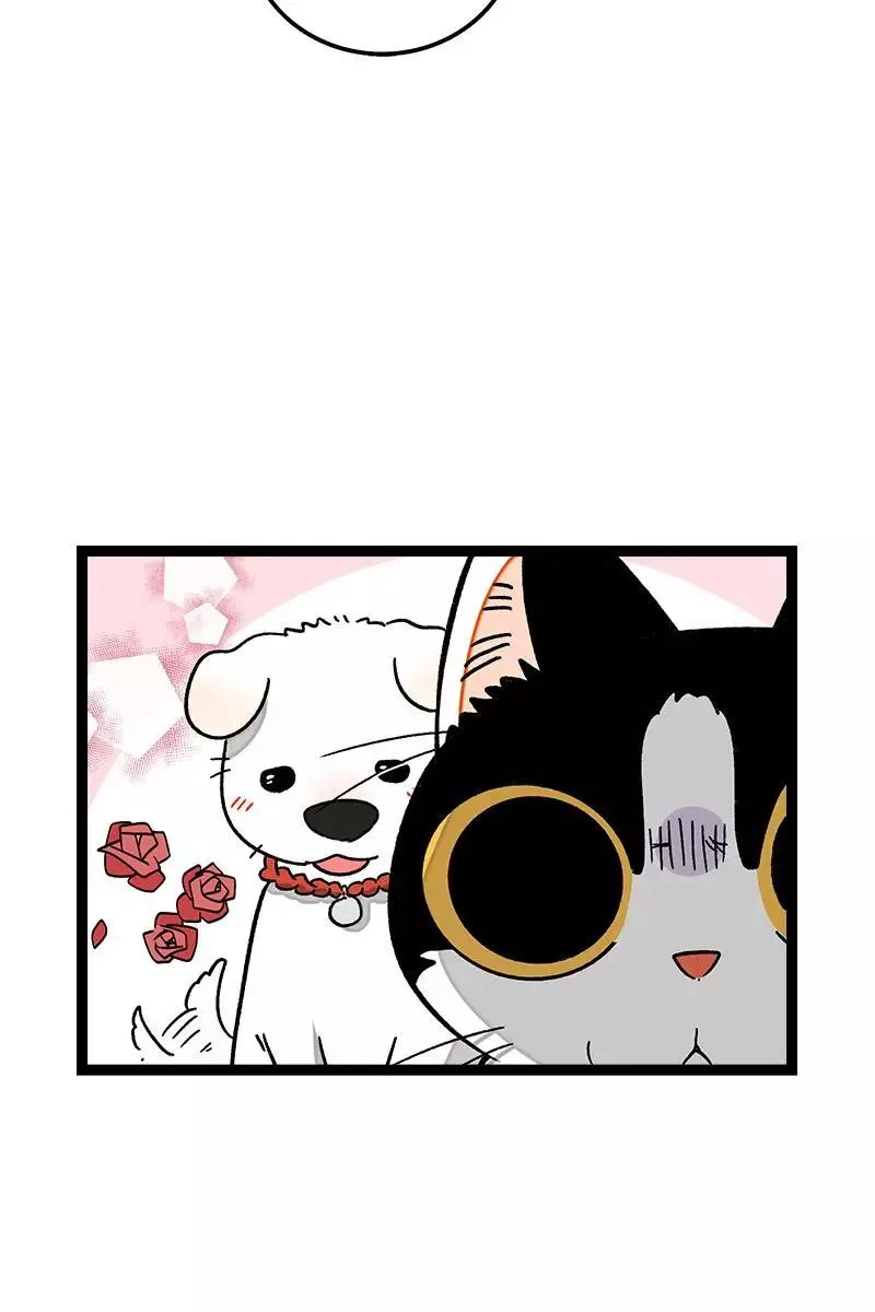 第73话 家的感觉14