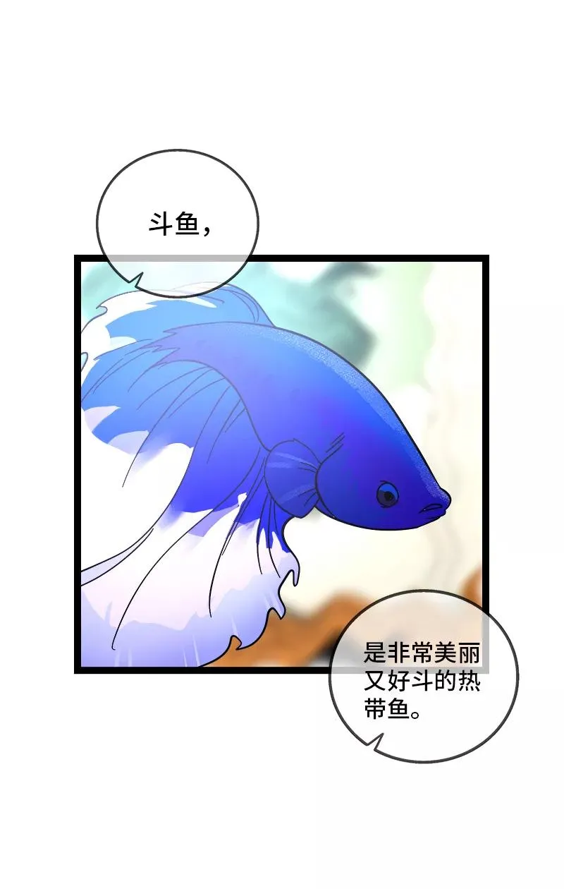第138话 斗鱼2