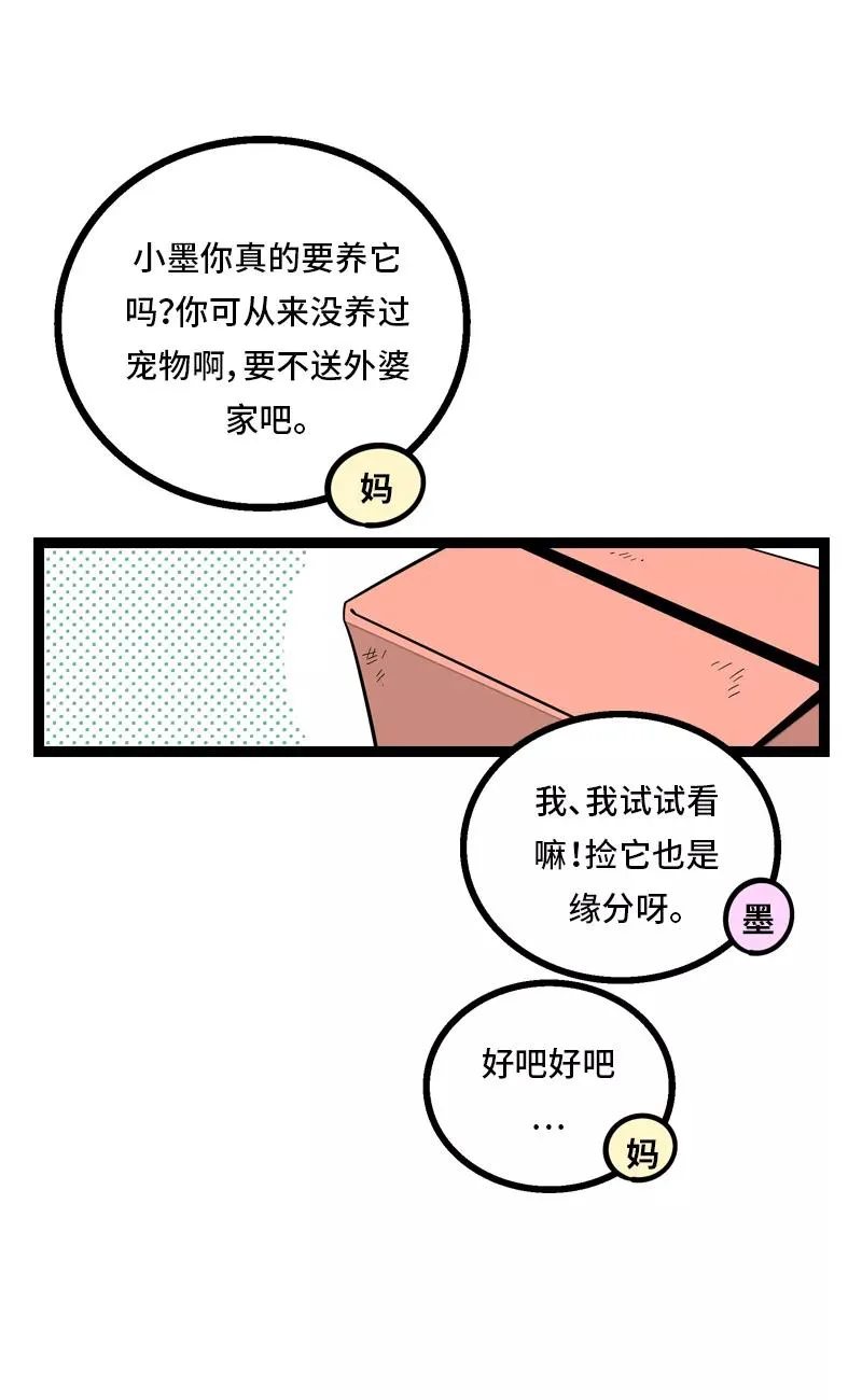 第11话 一只特立独行的猫2
