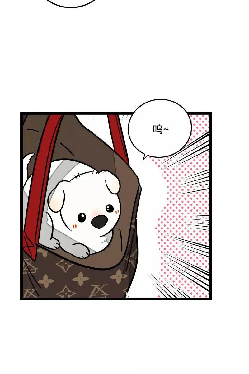 第70话 幸运的小狗37
