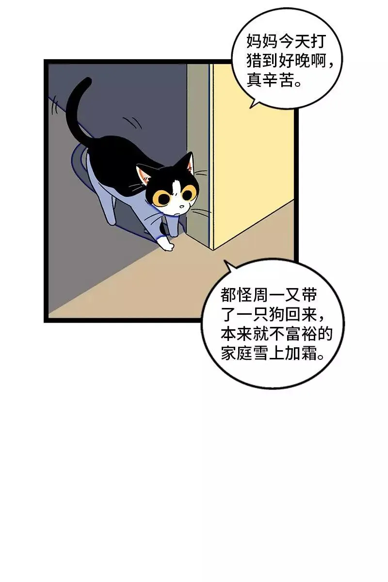 第75话 没有期望 就不会失望29