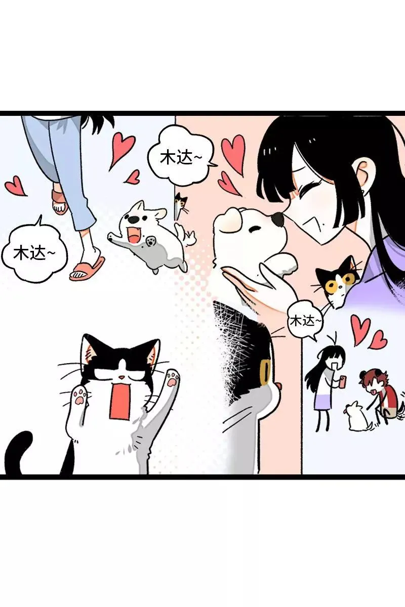 第77话 小鱼干之神7