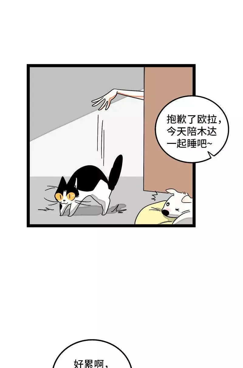 第111话 躺平的同居生活41