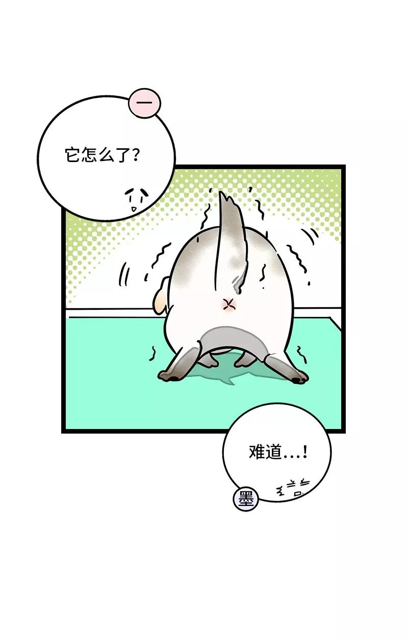 第69话 责任感23
