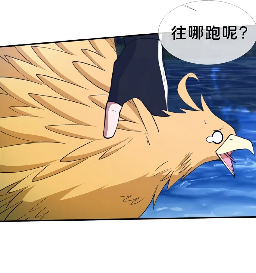 102 返回宗门8