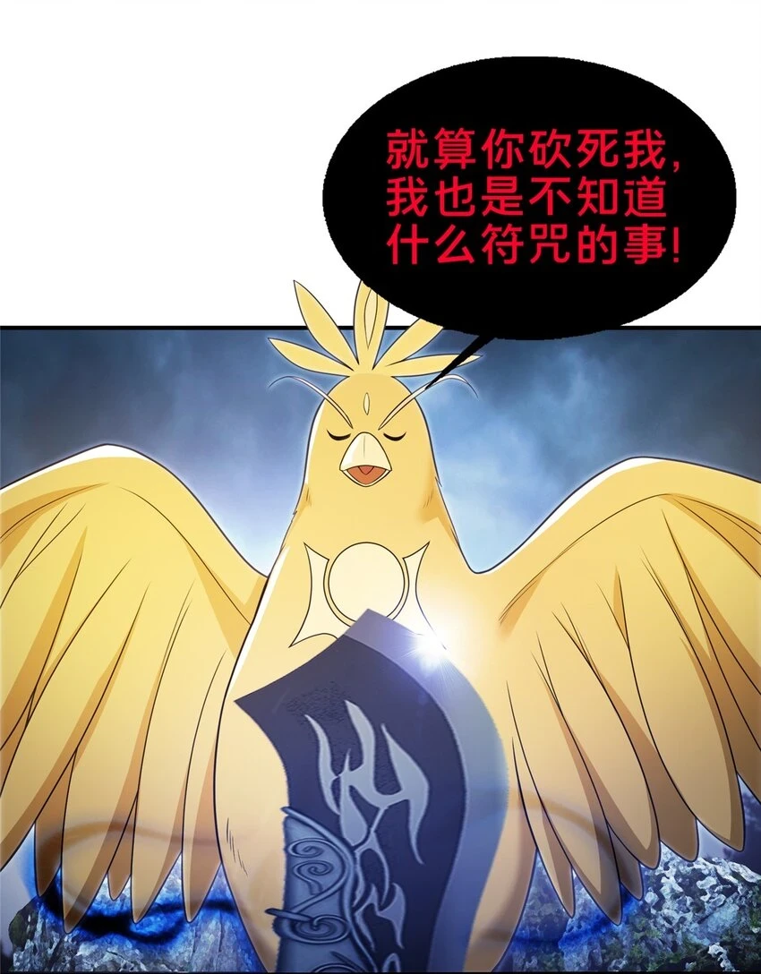 80 金背苍狼王8