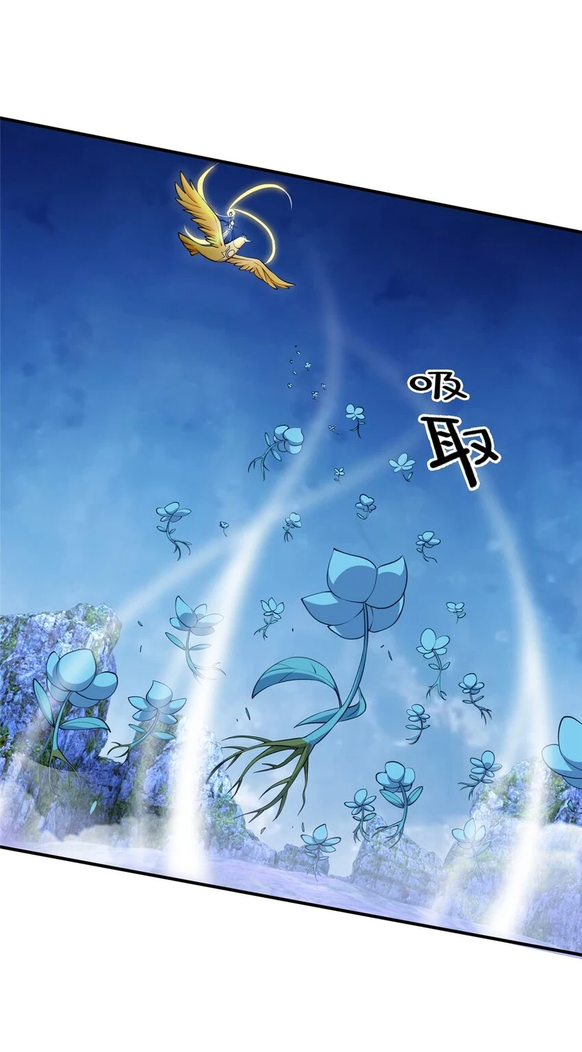 80 金背苍狼王18
