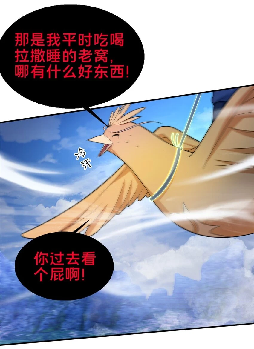 80 金背苍狼王24