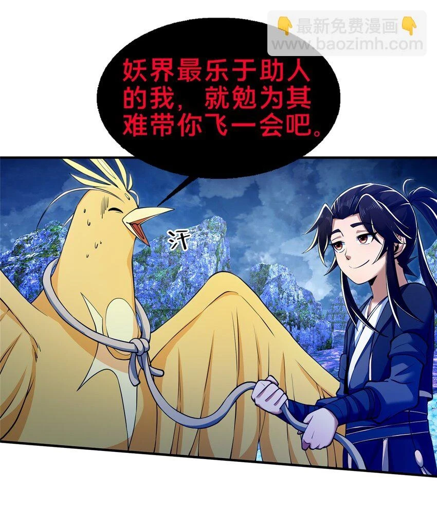 80 金背苍狼王11