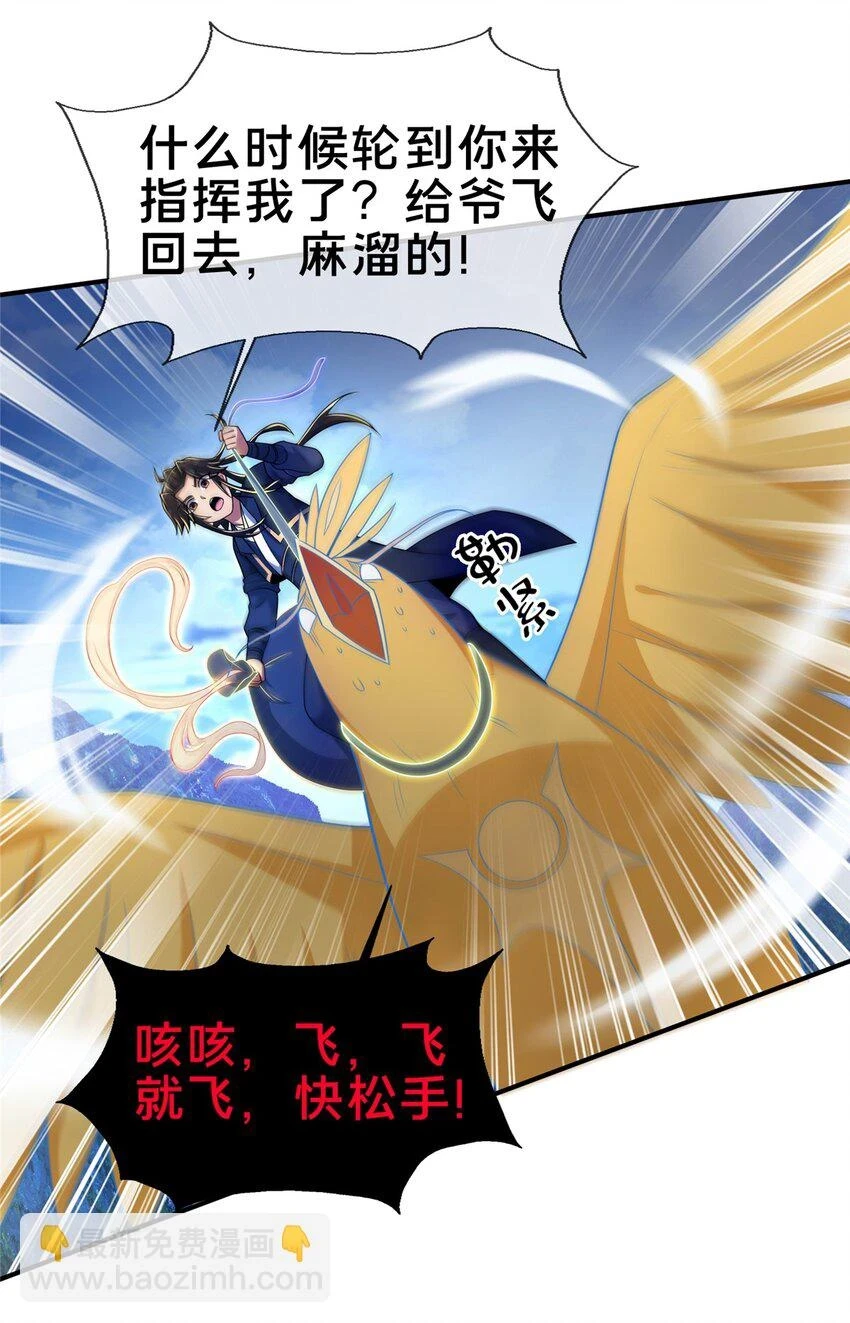 80 金背苍狼王22