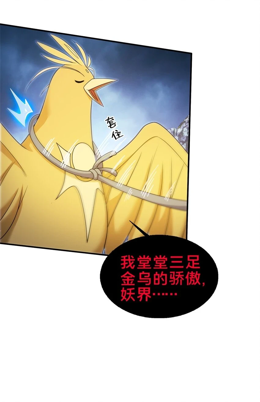 80 金背苍狼王10