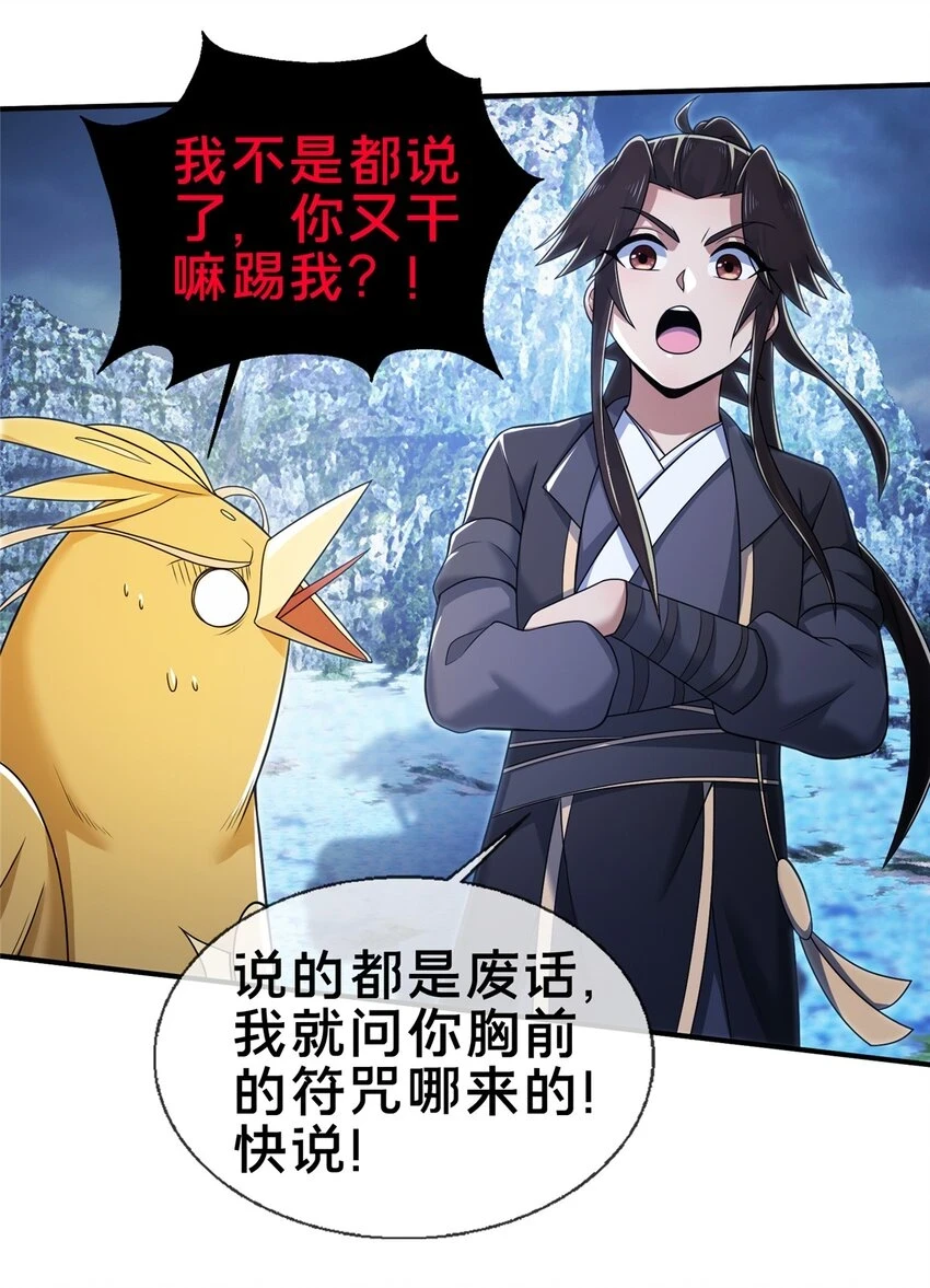 80 金背苍狼王3