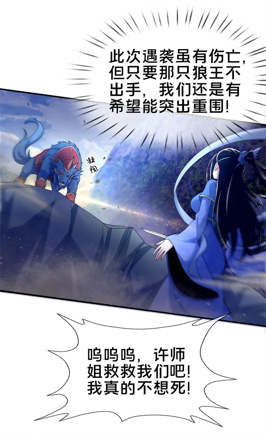 80 金背苍狼王33