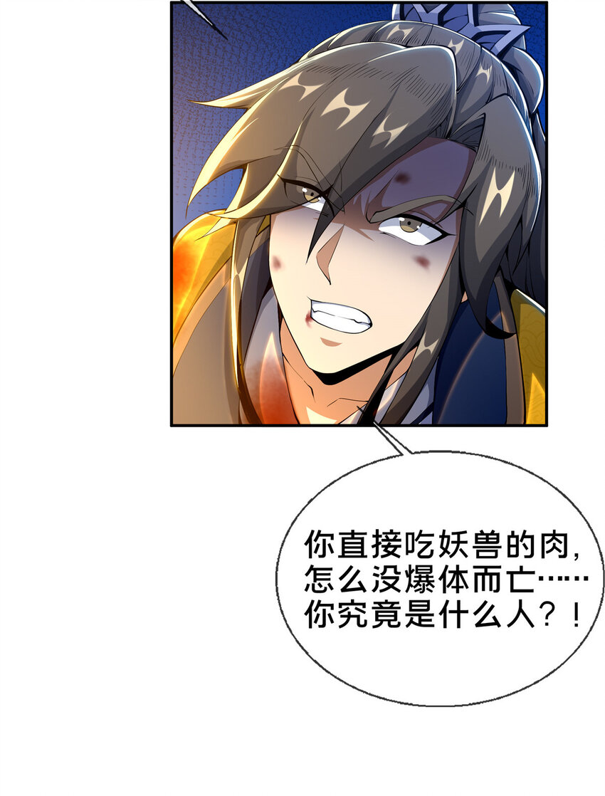 29 四阶妖灵丹2