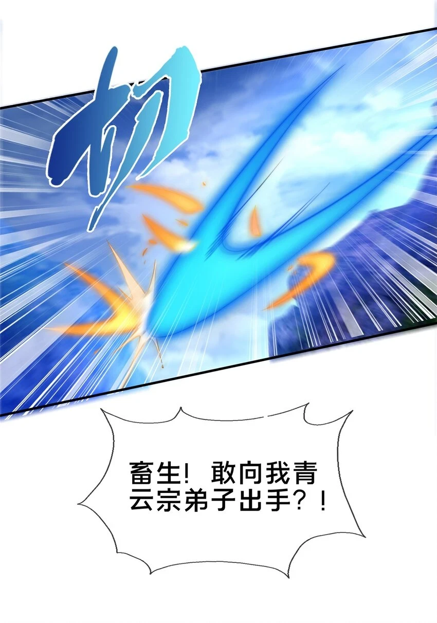 80 金背苍狼王42