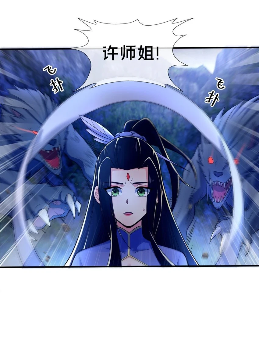 80 金背苍狼王35