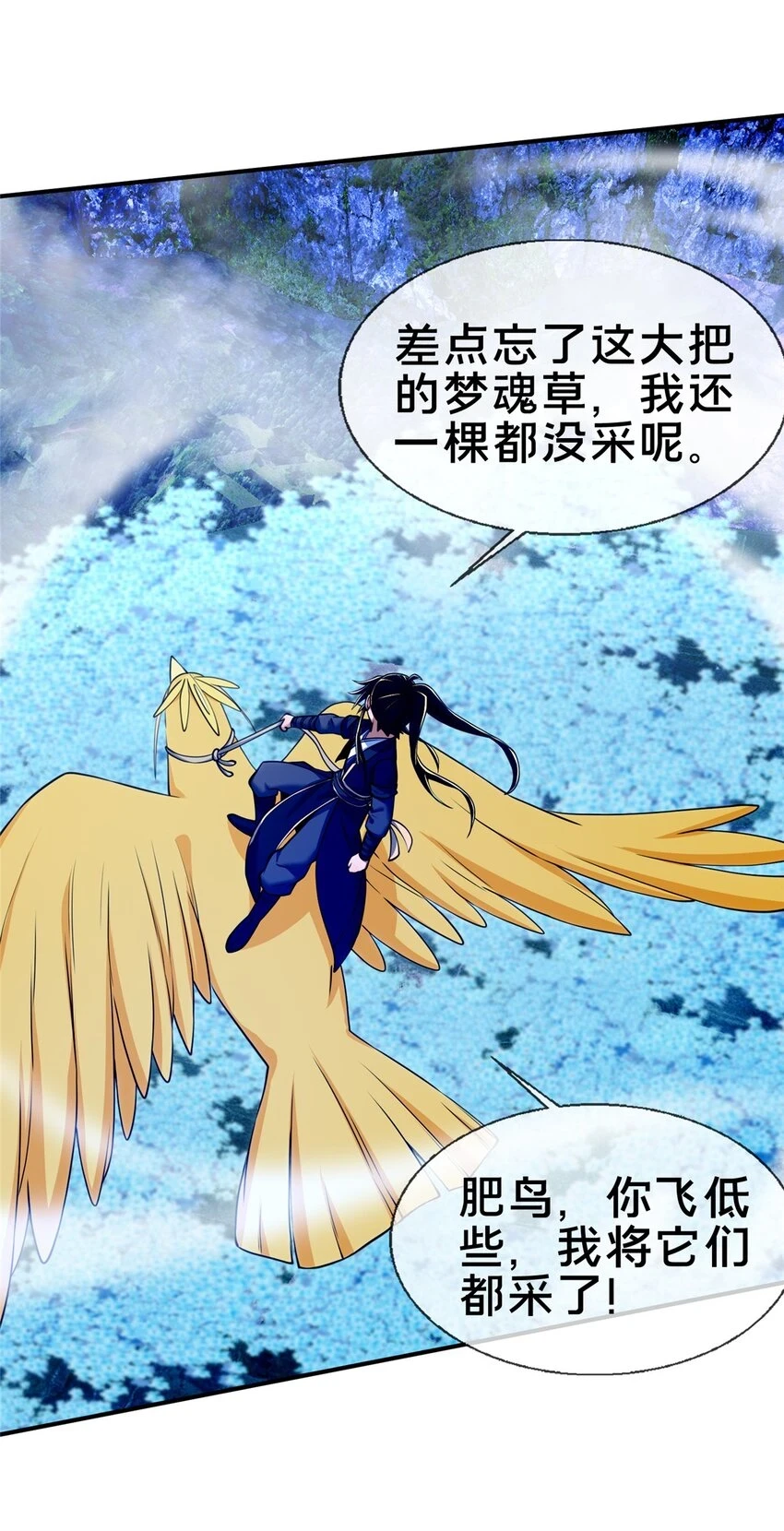 80 金背苍狼王15