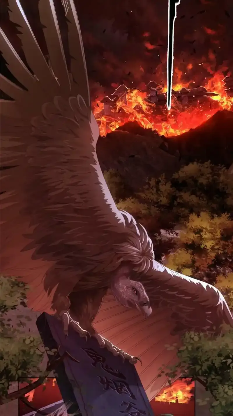 预告5