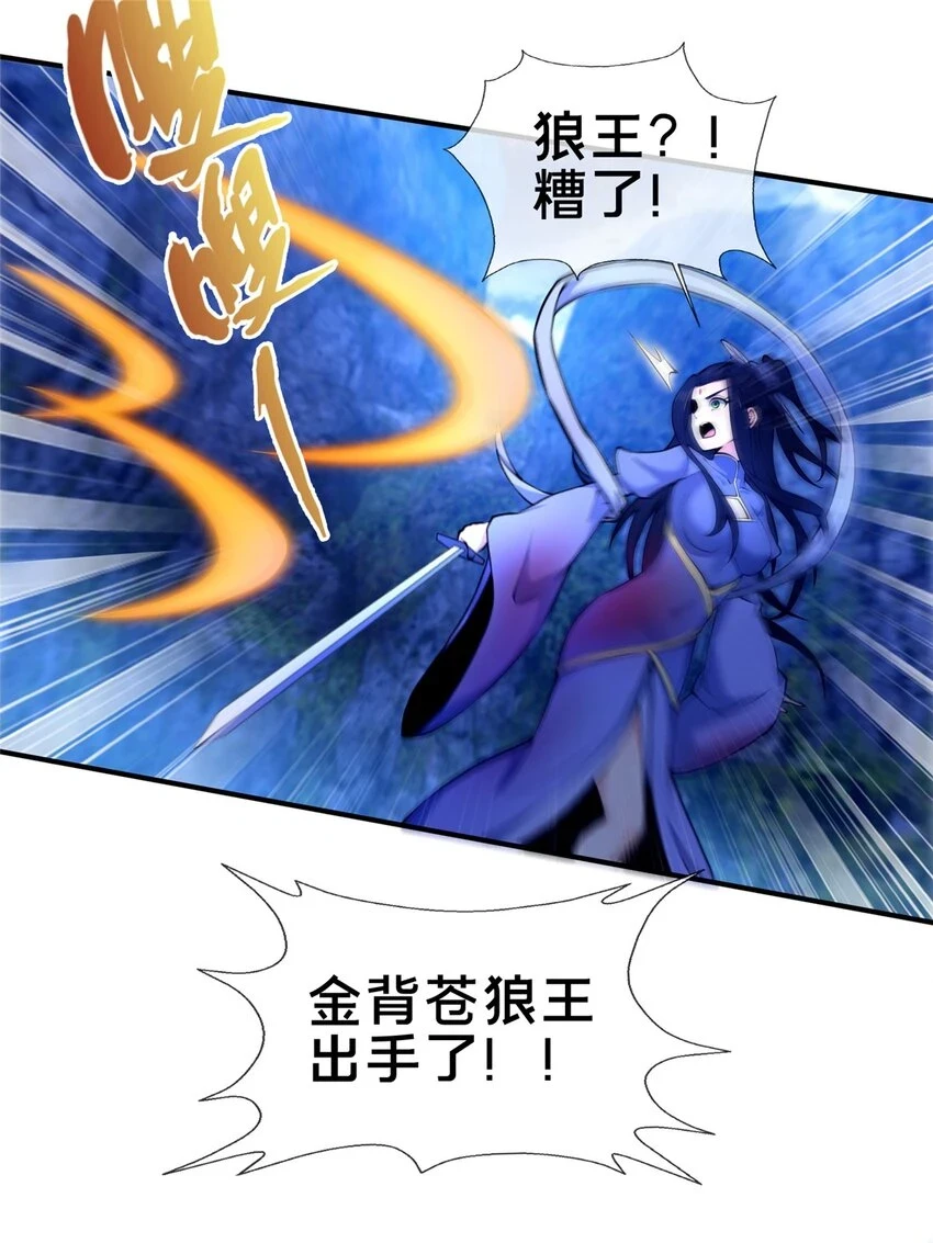 80 金背苍狼王41