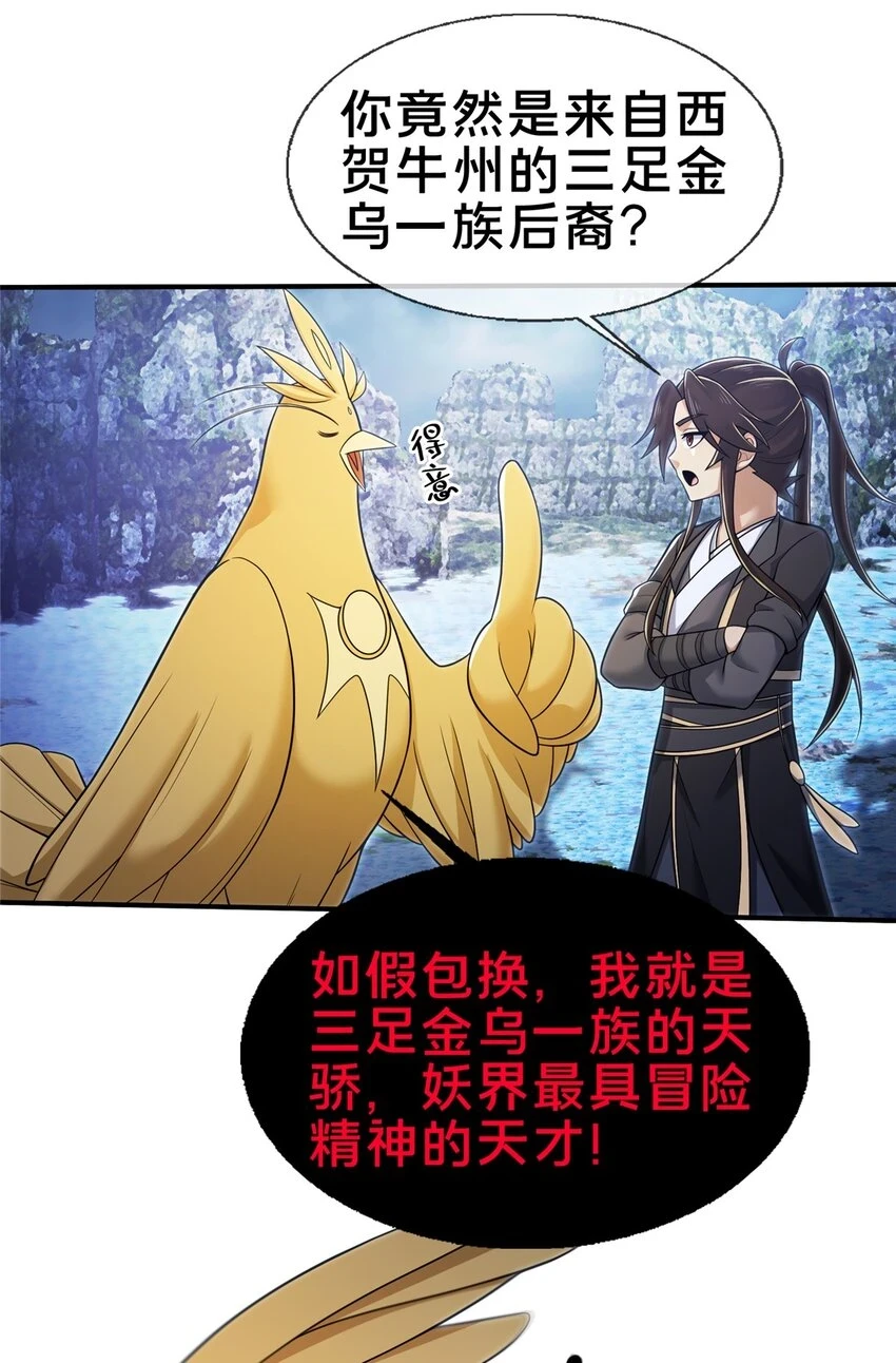 80 金背苍狼王1