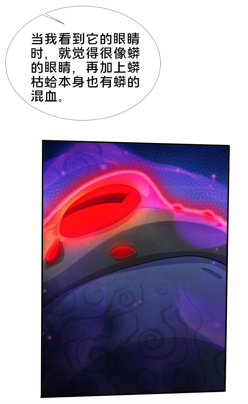 27 蟒枯蛤27
