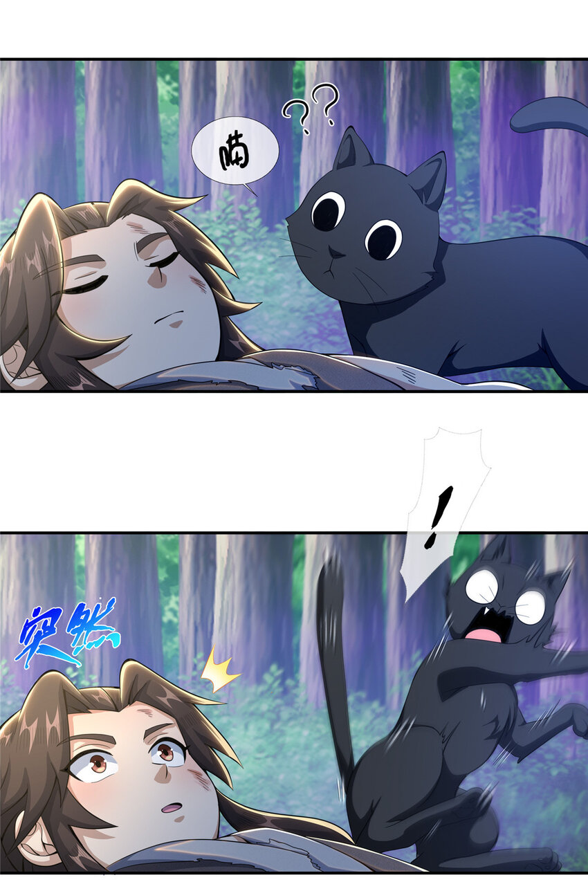 29 四阶妖灵丹41
