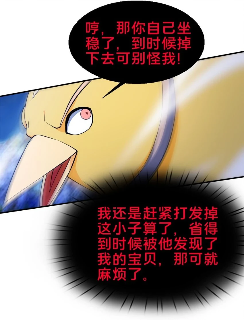 80 金背苍狼王16