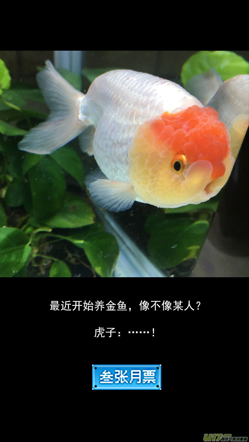 240 会合14