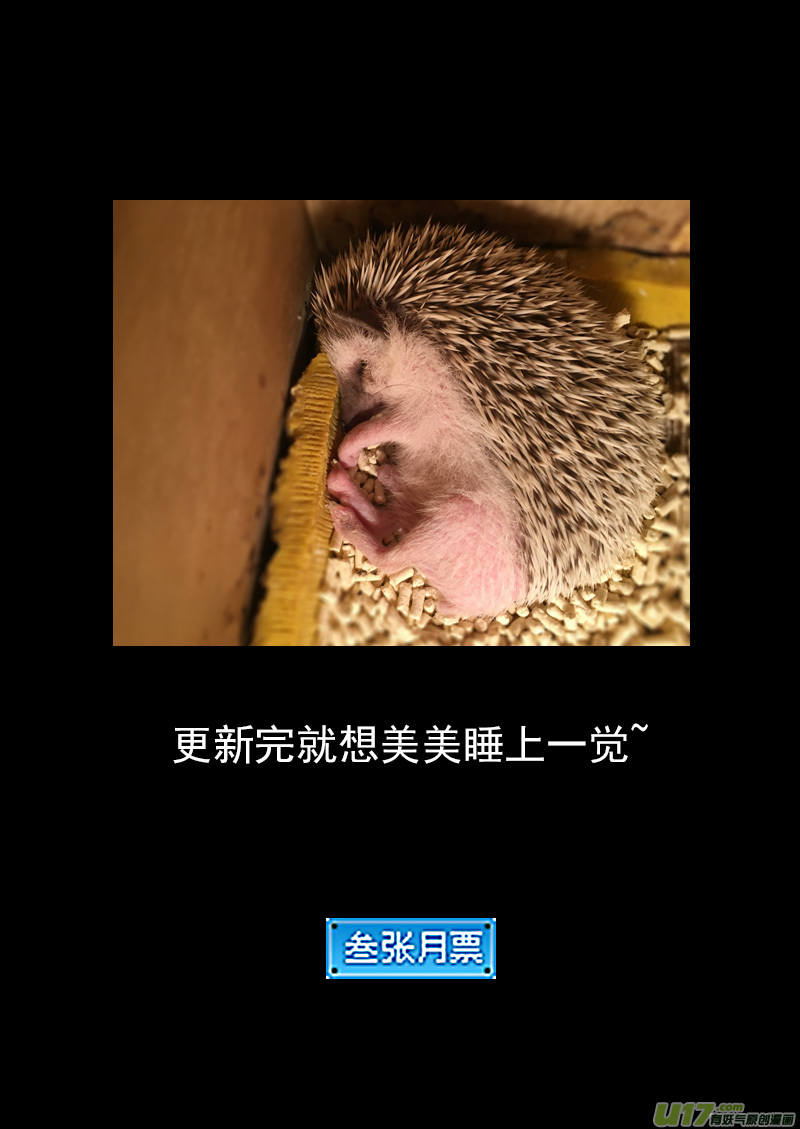 234 新的命运16