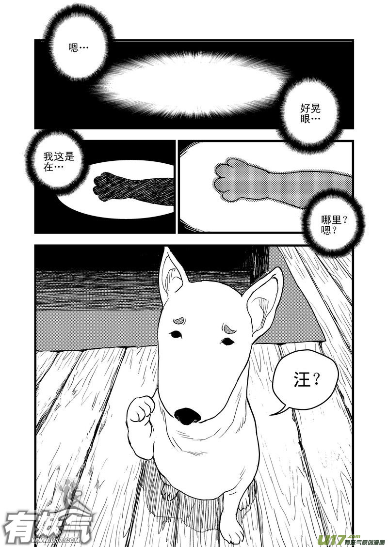26 我不是小白7
