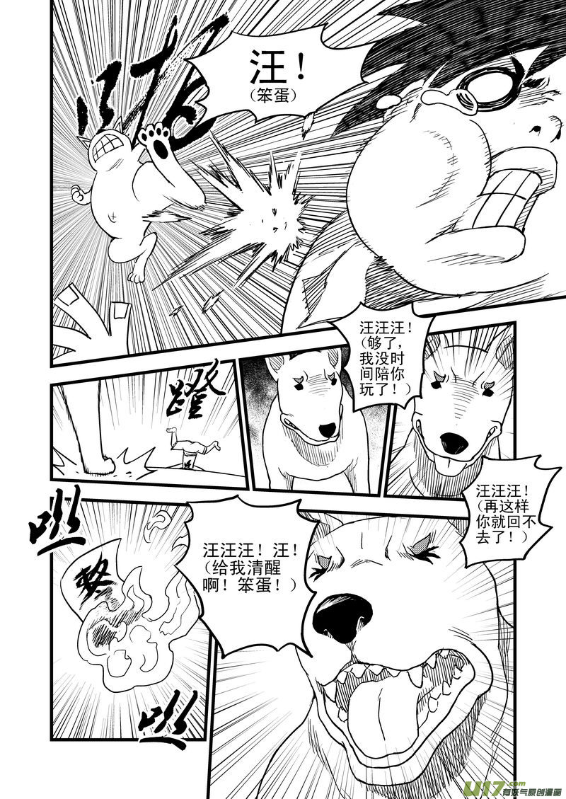 26 我不是小白14
