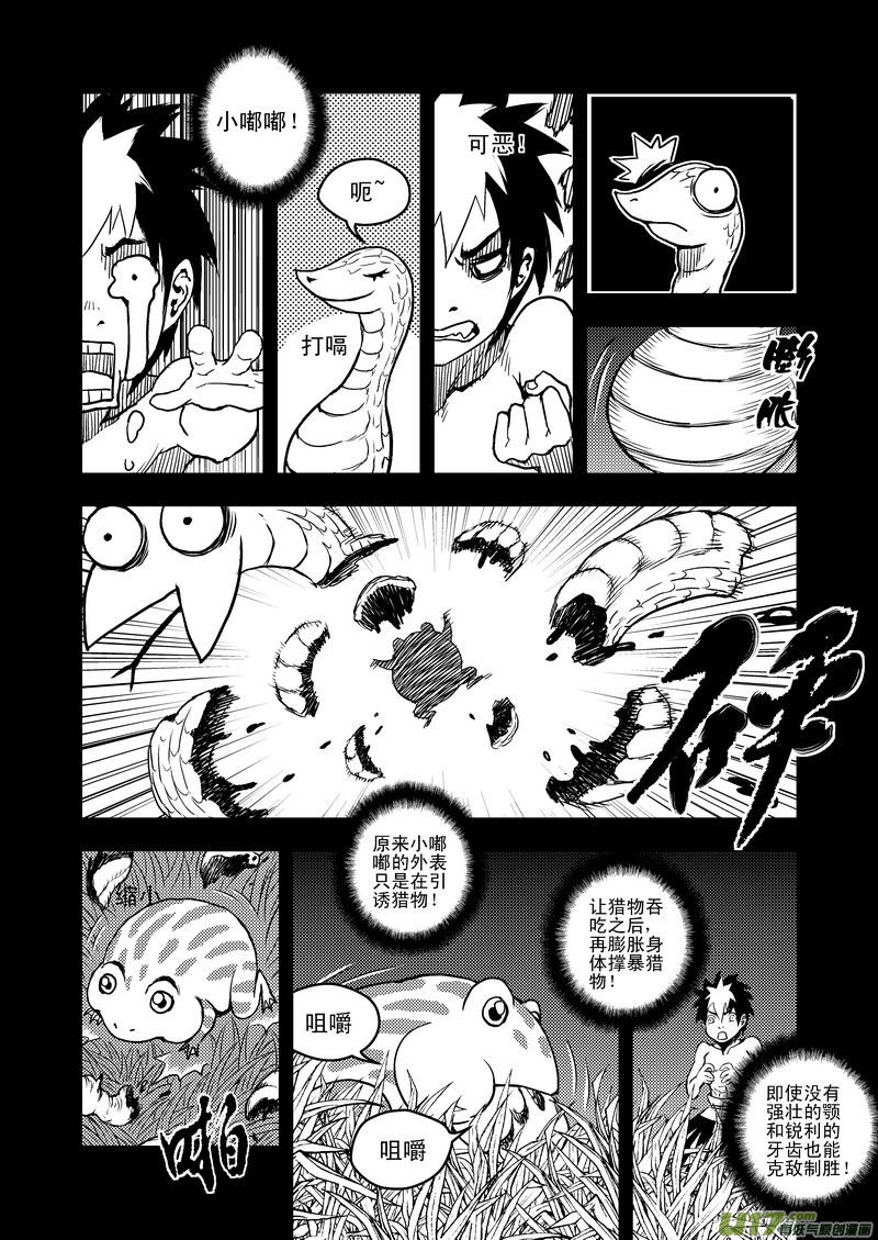 14 虎子的“抗”13