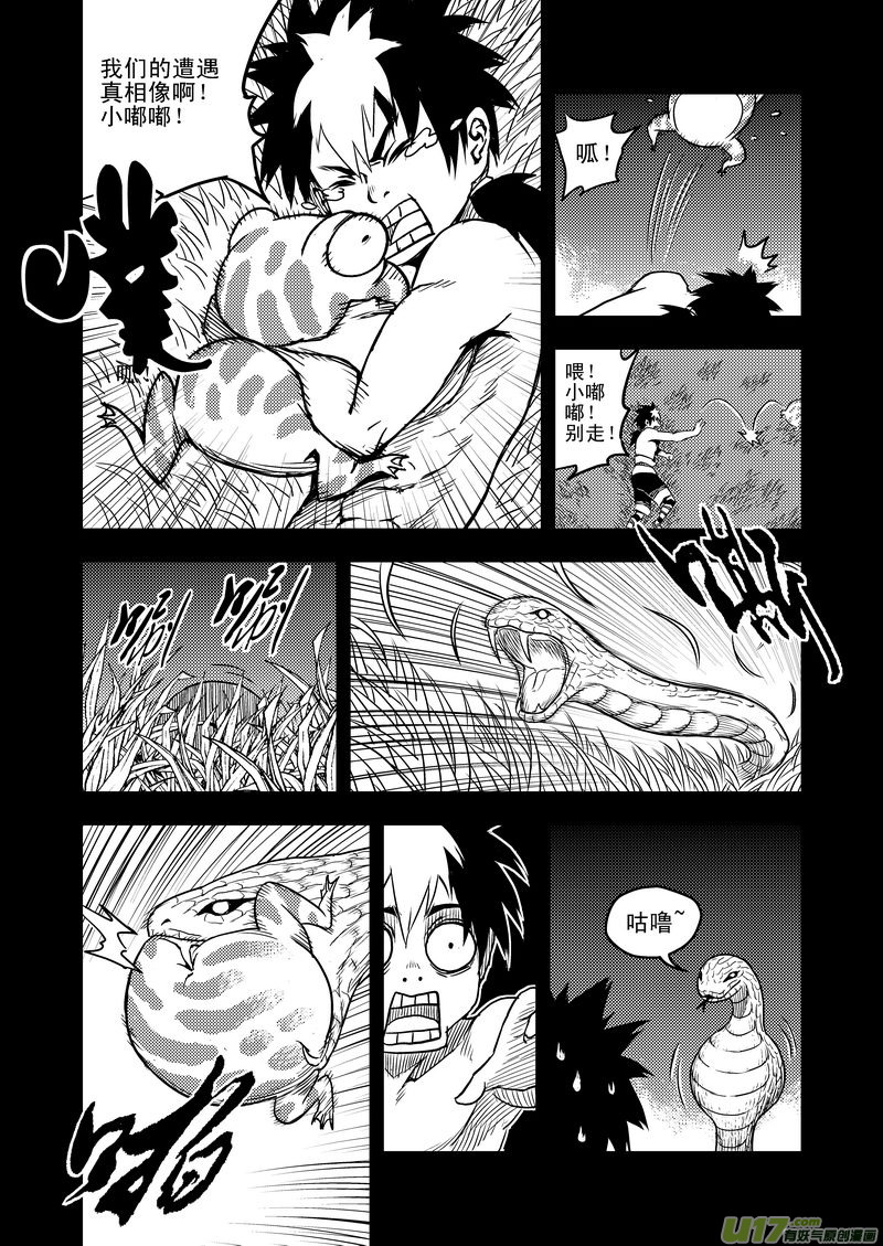 14 虎子的“抗”12